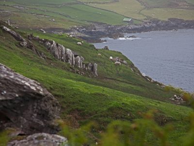 Image-43